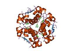 1znj: INSULIN, MONOCLINIC CRYSTAL FORM