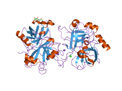 2a0q: Structure of thrombin in 400 mM potassium chloride