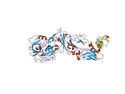 2a2q: Complex of Active-site Inhibited Human Coagulation Factor VIIa with Human Soluble Tissue Factor in the Presence of Ca2+, Mg2+, Na+, and Zn2+