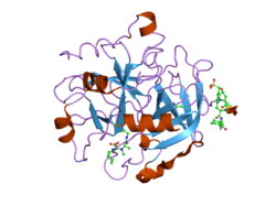 2a2x: Orally Active Thrombin Inhibitors in Complex with Thrombin Inh12