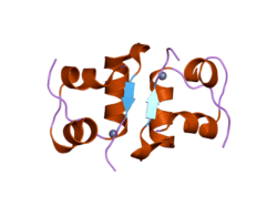 2a3g: The structure of T6 bovine insulin