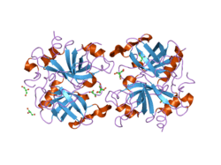 2afq: 1.9 angstrom crytal structure of wild-type human thrombin in the sodium free state