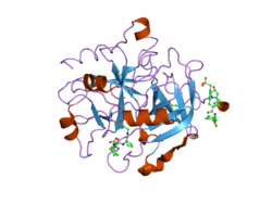 2ank: orally active thrombin inhibitors in complex with thrombin and an exosite decapeptide