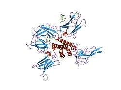 2b5i: cytokine receptor complex