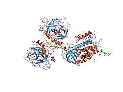 2b5t: 2.1 Angstrom structure of a nonproductive complex between antithrombin, synthetic heparin mimetic SR123781 and two S195A thrombin molecules