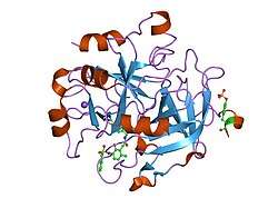 2bdy: thrombin in complex with inhibitor