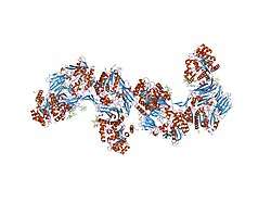 2bgn: HIV-1 TAT PROTEIN DERIVED N-TERMINAL NONAPEPTIDE TRP2-TAT (1-9) BOUND TO THE ACTIVE SITE OF DIPEPTIDYL PEPTIDASE IV (CD26)