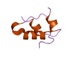 2bn1: INSULIN AFTER A HIGH DOSE X-RAY BURN