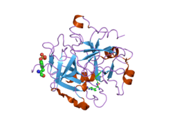 2bvr: HUMAN THROMBIN COMPLEXED WITH FRAGMENT-BASED SMALL MOLECULES OCCUPYING THE S1 POCKET
