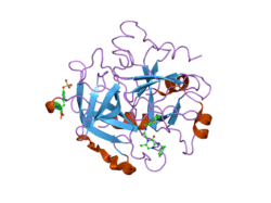 2bvx: DESIGN AND DISCOVERY OF NOVEL, POTENT THROMBIN INHIBITORS WITH A SOLUBILIZING CATIONIC P1-P2-LINKER
