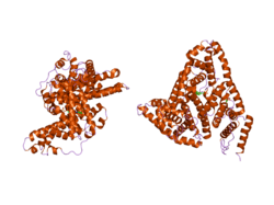 2bxh: HUMAN SERUM ALBUMIN COMPLEXED WITH INDOXYL SULFATE