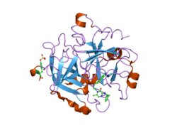 2bxt: DESIGN AND DISCOVERY OF NOVEL, POTENT THROMBIN INHIBITORS WITH A SOLUBILIZING CATIONIC P1-P2-LINKER