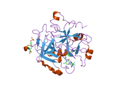 2bxu: DESIGN AND DISCOVERY OF NOVEL, POTENT THROMBIN INHIBITORS WITH A SOLUBILIZING CATIONIC P1-P2-LINKER