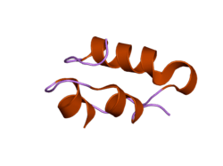 2c8r: INSULINE(60SEC) AND UV LASER EXCITED FLUORESCENCE