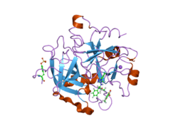 2c8w: THROMBIN INHIBITORS