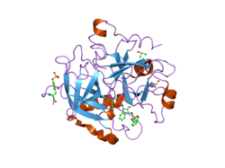 2c8y: THROMBIN INHIBITORS
