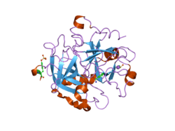 2c8z: THROMBIN INHIBITORS