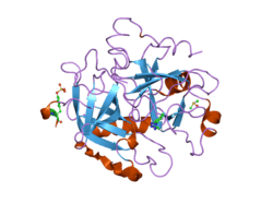 2c90: THROMBIN INHIBITORS