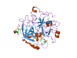 2c93: THROMBIN INHIBITORS