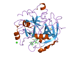 2cf8: COMPLEX OF RECOMBINANT HUMAN THROMBIN WITH A INHIBITOR