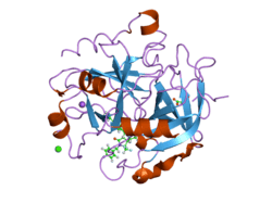2cn0: COMPLEX OF RECOMBINANT HUMAN THROMBIN WITH A DESIGNED INHIBITOR