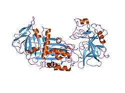 2d26: Active site distortion is sufficient for proteinase inhibit second crystal structure of covalent serpin-proteinase complex