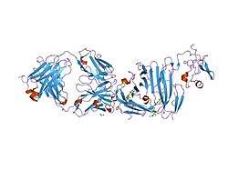 2fd6: Structure of Human Urokinase Plasminogen Activator in Complex with Urokinase Receptor and an anti-upar antibody at 1.9 A