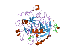 2feq: orally active thrombin inhibitors