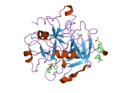 2fes: Orally active thrombin inhibitors