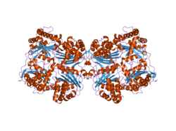 2g54: Crystal structure of Zn-bound human insulin-degrading enzyme in complex with insulin B chain