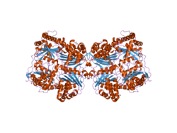 2g56: crystal structure of human insulin-degrading enzyme in complex with insulin B chain
