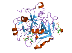 2gde: Thrombin in complex with inhibitor