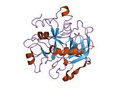 2hgt: STRUCTURE OF THE HIRUGEN AND HIRULOG 1 COMPLEXES OF ALPHA-THROMBIN