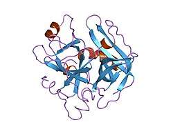 2hnt: CRYSTALLOGRAPHIC STRUCTURE OF HUMAN GAMMA-THROMBIN