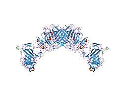 2i9b: Crystal structure of ATF-urokinase receptor complex