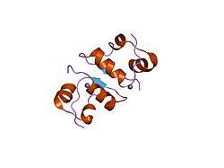 2ins: THE STRUCTURE OF DES-PHE B1 BOVINE INSULIN