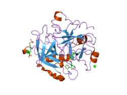 2jh0: HUMAN THROMBIN HIRUGEN INHIBITOR COMPLEX.