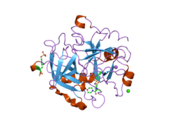 2jh6: HUMAN THROMBIN HIRUGEN INHIBITOR COMPLEX.