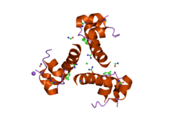2omg: Structure of human insulin cocrystallized with protamine and urea