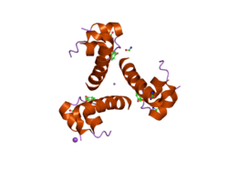 2omh: Structure of human insulin cocrystallized with ARG-12 peptide in presence of urea