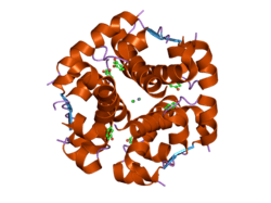 2omi: Structure of human insulin cocrystallized with protamine