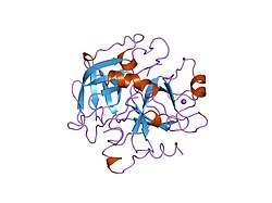 2thf: STRUCTURE OF HUMAN ALPHA-THROMBIN Y225F MUTANT BOUND TO D-PHE-PRO-ARG-CHLOROMETHYLKETONE