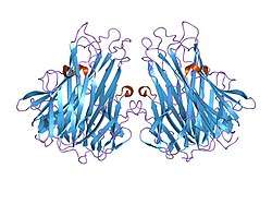 2tun: CONFORMATIONAL CHANGES IN THE (ALA-84-VAL) MUTANT OF TUMOR NECROSIS FACTOR
