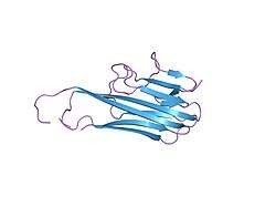 4tsv: HIGH RESOLUTION CRYSTAL STRUCTURE OF A HUMAN TNF-ALPHA MUTANT