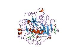 8kme: CRYSTAL STRUCTURE OF HUMAN ALPHA-THROMBIN INHIBITED WITH SEL2770.