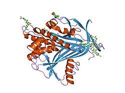 9api: THE S VARIANT OF HUMAN ALPHA1-ANTITRYPSIN, STRUCTURE AND IMPLICATIONS FOR FUNCTION AND METABOLISM
