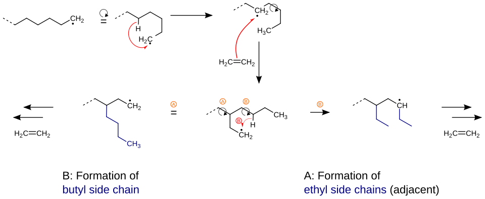 Mechanism for the emergence of side chains during synthesis of polyethylene (PE-LD).