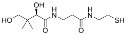 Stereo, skeletal formula of pantetheine (R)