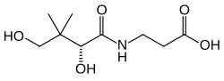 Skeletal formula of (R)-pantothenic acid