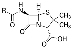 Penicillin, an antibiotic ("R" is the variable group)